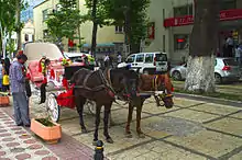 deux chevaux attelés à une carriole de couleur blanche dans les rues d'une ville