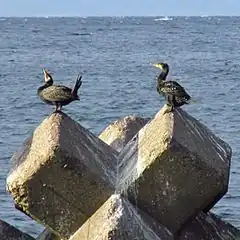 Description de cette image, également commentée ci-après