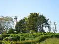 Le phare de Ouistreham vu de la rue Marthe Janvier, derrière un rideau d'arbres.