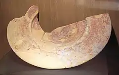 Assiette phénicienne, VIIe siècle av. J.-C., retrouvée sur l'ile de Mogador, Essaouira. Musée Sidi-Mohammed-ben-Abdellah.