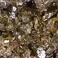 Phlogopite - mont Somma Italie - (vue 1 cm)