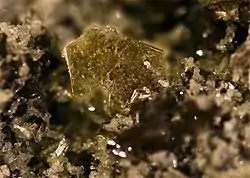 Monocristal de phlogopite - mont Somma Italie - (vue 1 cm)