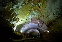 Parc national de Phong Nha-Kẻ Bàng