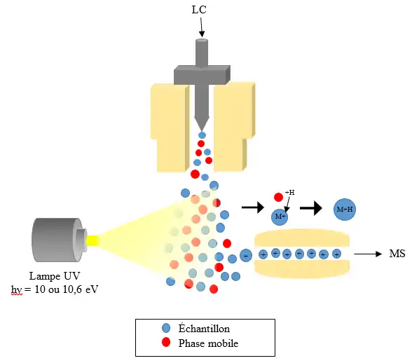 Montage expérimental de la chromatographie liquide (LC) couplée avec un APPI-MS.