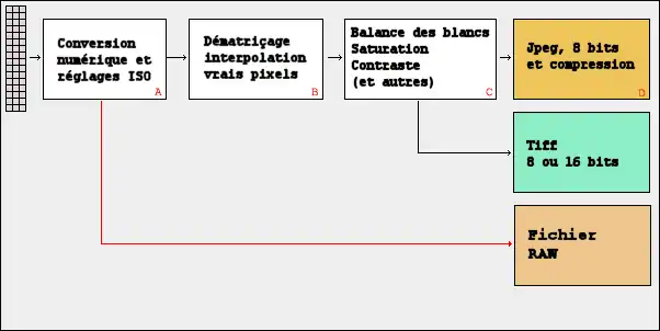 La production d'images standard