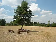 Vue de l'étendue du parc départemental.