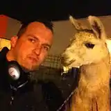 Photobomb avec « Serge le lama ».