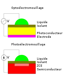 Deux schémas, l'un présentant le photoélectromouillage et l'autre l'optoélectromouillage.