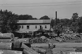 Cobden (Illinois)