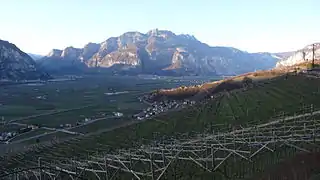 Vallée de l'Adige, Piana Rotaliana.