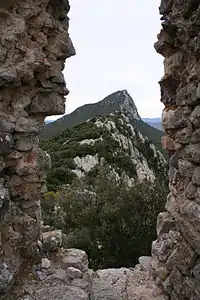 Le pic Saint Loup vu du château.