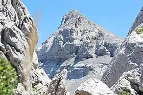 Vue du pic d'Anie depuis le col du Pourtet.