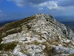 Vue du sommet du pic des Mouches.