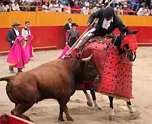 Un picador à cheval à droite de la photo plantant une pique sur un taureau à gauche vu de profil