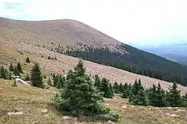 Le gradient climatique lié à la latitude et à l'altitude contrôle la flore et modèle le paysage.