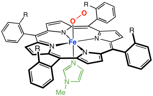 Exemple de porphyrine à palissade complexée avec du fer, les sites de coordination axiaux étant occupés par la méthylimidazole (en vert) et l'oxygène.