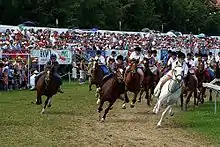 Vue de face de plusieurs chevaux au galop, avec le public sur les gradins derrière.