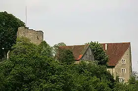 Image illustrative de l’article Château de Pleujouse