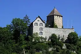 Image illustrative de l’article Château d'Herblingen