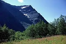 Photo d'une prairie, bordée par une forêt dans la vallée Rapadalen, au pied d'une montagne.