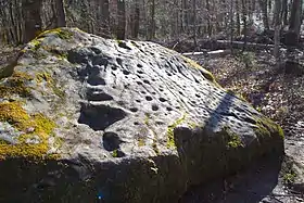 Image illustrative de l’article Cromlech de La Praz