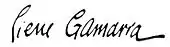 Signature de Pierre Gamarra
