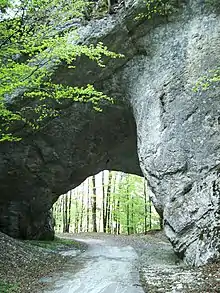 Tunnel romain du col de Pierre Pertuis