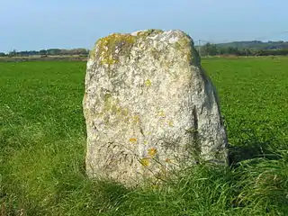 Menhir dit « pierre de Saillé »