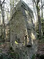 Menhir de la Roche Piquée