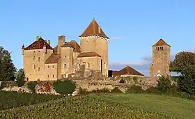 Image illustrative de l’article Château de Pierreclos