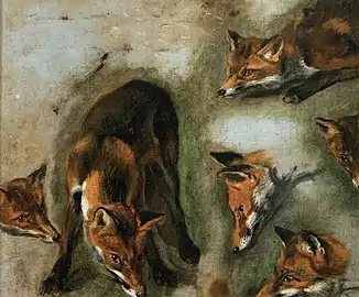 Etude de renard, 1669-1671Musée du Louvre