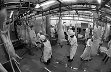 Photographie en noir et blanc d'un abattoir, montrant des ouvriers au travail avec des carcasses.