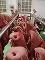 Têtes de porc pour la soppressata toscana.