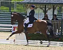 Photographie en couleurs d'un cheval monté par une cavalière pendant un concours d'équitation.