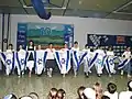 Fête pour les 60 ans de l'indépendance d'Israël, 2008