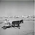 Matériel de transport et de travail agricole aux temps de l'implantation du Kfar, v. 1960