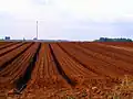 Irrigation d'un champ labouré au (en) moshav Tsofit