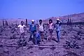 Plantation de bananiers dans les années 1980