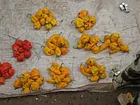 Piments (extrêmement forts pour un Européen) et cubes de bouillon.