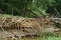 Érosion des berges : sapement de pied par affouillement.