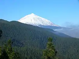 Volcan couvert de neige dominant une vaste forêt.