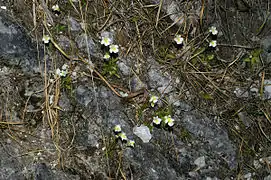 Biotope