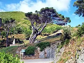 Image illustrative de l’article Col de Santa Lucia