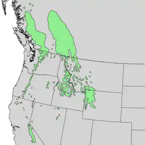 Description de l'image Pinus albicaulis range map 2.png.