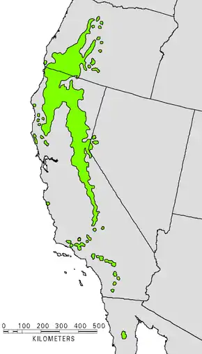 Description de l'image Pinus lambertiana USGS range map 2.png.