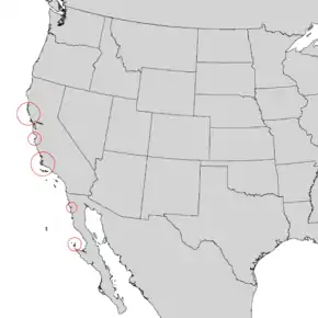 Description de l'image Pinus muricata range map 1.png.