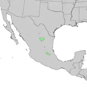 Description de l'image Pinus pinceana range map 1.png.