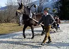 Dans un paysage de montagne, un cheval noir attelé à un traineau avance dans la neige, un homme en costume traditionnel à ses côtés.