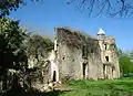 Le château de Cheneru (ruines).