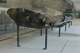 Une pirogue exposée au musée Carnavalet